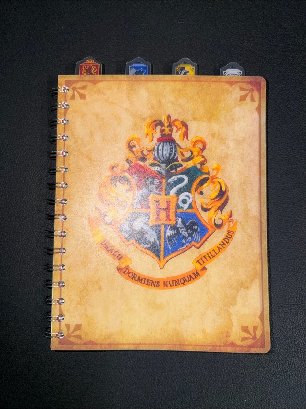 Harry Potter: Hogwarts Houses Journal/Notebook